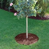 /product-detail/hot-selling-50cm-rubber-mulch-tree-ring-60622841872.html