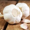 fresh garlic , bulk garlic, garlic exporters china