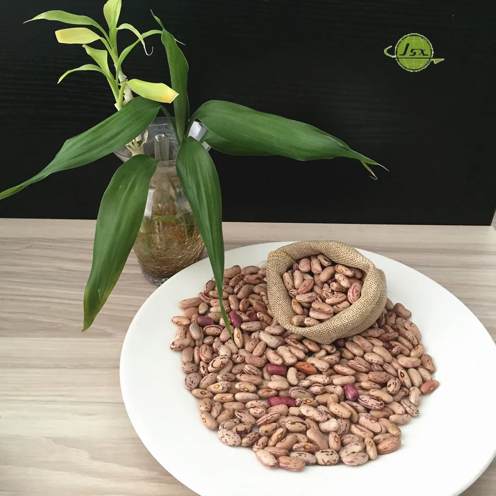 JSX sugar bean 50 kg pp bags brand new AD Dring pinto beans