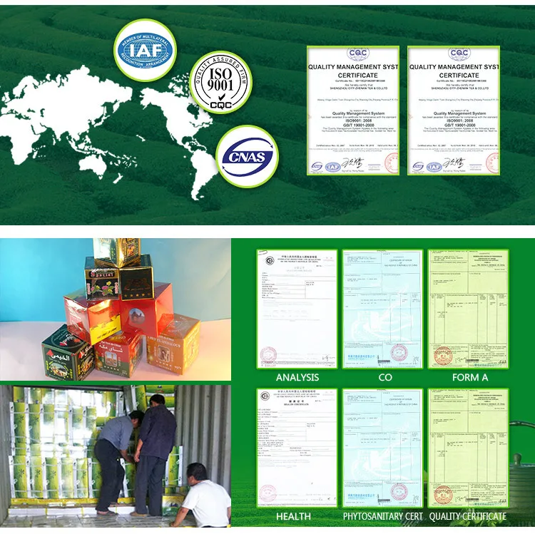 cert.jpg