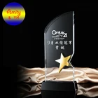 Creative crystal award metal star trophy for annual competition prize activity glory monument