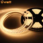 DC12V 24V 2216 5050 3528 3014 2835 5630 IP20 IP65 IP67 IP68 indoor outdoor waterproof LED Stripe with CE FCC ROHS