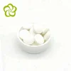 High quality calcium magnesium vitamin d3 tablet