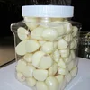 /product-detail/wholesale-peeled-garlic-price-60705225277.html