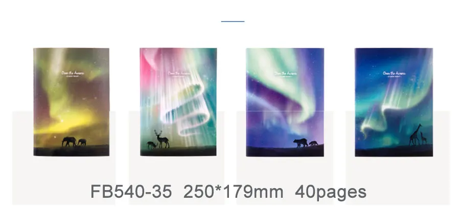 z_11
