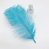 Wholesale high quality natural acid blue ostrich feathers 6-8 inch/15-20cm