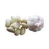 /product-detail/chinese-fresh-pure-white-garlic-62191005793.html