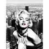 /product-detail/china-supplier-3d-marilyn-monroe-photos-for-home-decoration-60158114643.html