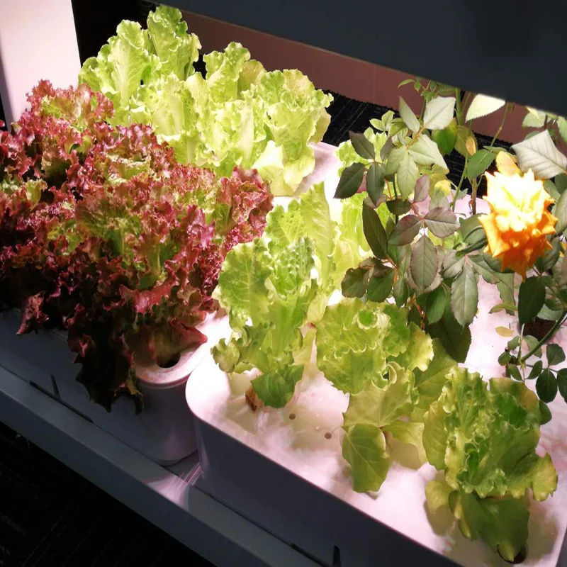 Shenzhen Avatar Eco Kitchen 120w Indoor Vegetable Growing