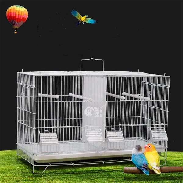 1801 bird cage 4.jpg