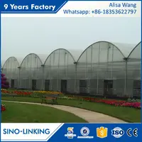 SINOLINK Low Operating Cost Polycarbonate Sheet
