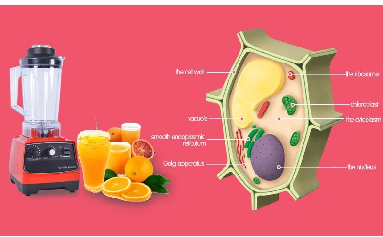 Multifunctional fashion design electric juice blender multi with dry mill attachment