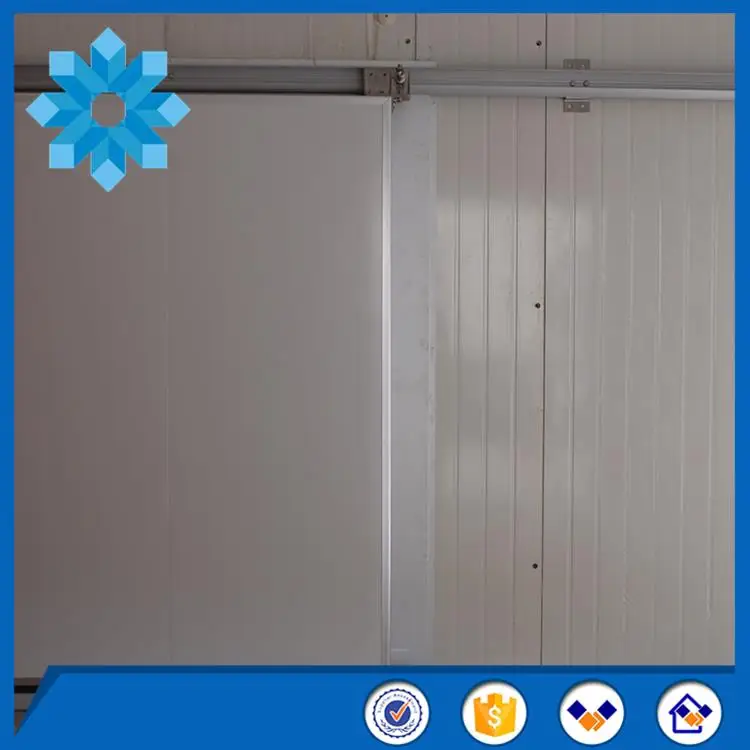 New design cold storage /cold room / chiller room for vegetable and fruit for wholesales