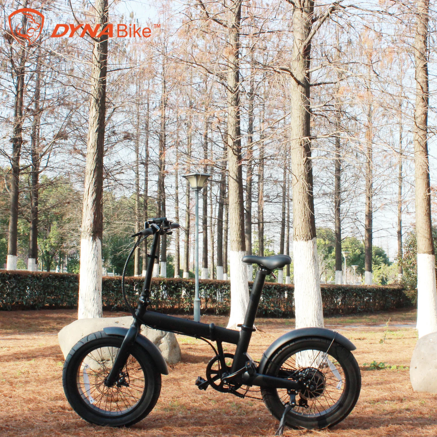 factory supply 20 inch maxload 150kg folding electric bicycle