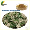 Natural Polygonum Cuspidatum Root Extract resveratrol Polydatin Powder Giant knotweed powder