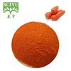 /product-detail/100-natural-carrot-extract-powder-100-carrot-juice-powder-100--60650533450.html
