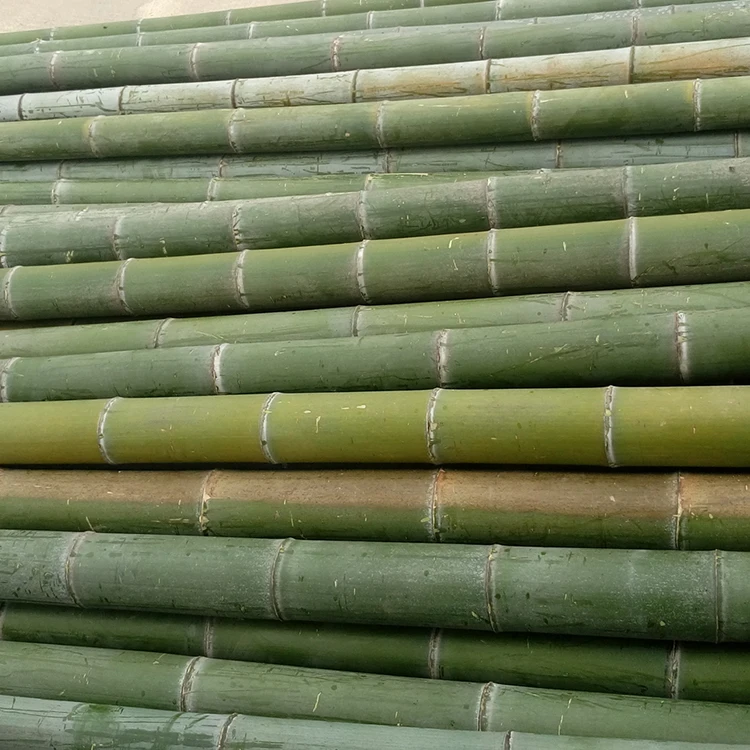 Eco-friendly Wholesale High Quality Bamboo Poles Wholesale Stakes Bamboo Poles Price