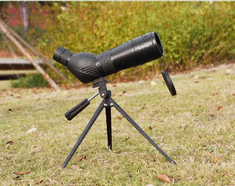 6629075163_2108484305