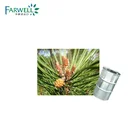 Farwell Thus Gum supplier, Turpentine Oil CAS: 8006-64-2