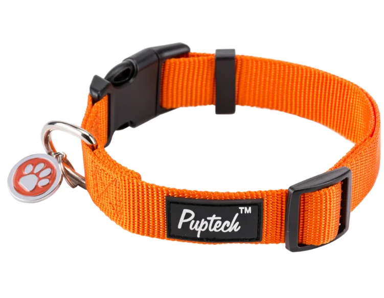 Basic Nylon Custom Design Solid Adjustable Puppy Pet Tactical Dog Collars with ID Tag