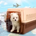 High quality portable side door open Pet Kennel for air travelling Large size pet air carrier cage pet