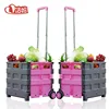 Wholesale Custom 25KG two Wheel Portable Basket Bags Folding Plastic Shopping Trolley cart