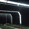 /product-detail/hot-sale-automatic-light-deprivation-tunnel-greenhouse-with-full-blackout-system-62012666615.html
