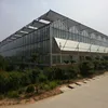 Complete Large Multi-Span Glass Greenhouse Project for organic agriculture project esp supplying to USA market