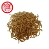 Wheat Bran Dried Mealworm LiveMealworm For Animal Feed Additive