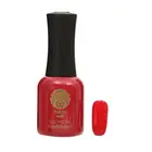 Professional made special design gel polish color longlasting gel nail polish organic