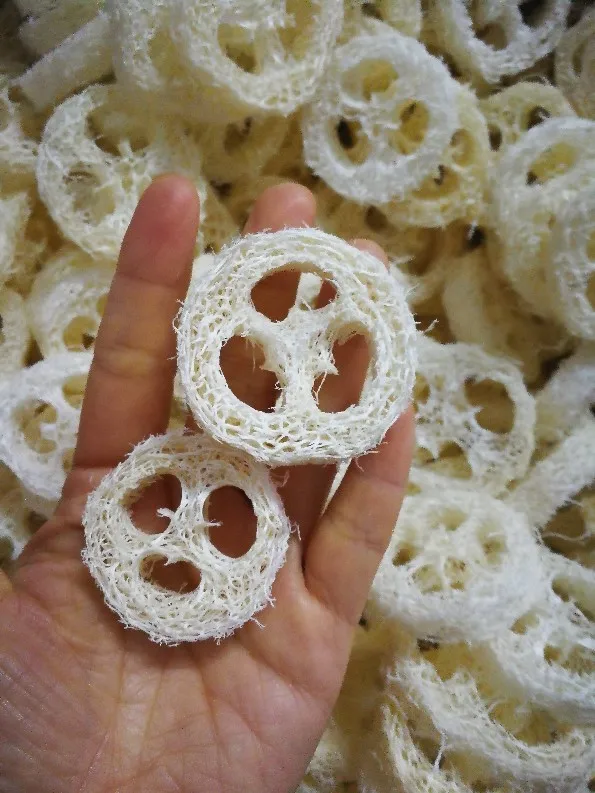 00000000000000000000000000000000000000000000000000000000000000000000000000000000000000000000000000000000000000000000000000000000000000000001 - 