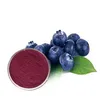 Wholesale Water-soluble bilberry powder bilberry extract