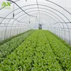 /product-detail/2019-the-industrial-plastic-film-tuunel-greenhouse-for-agriculture-60820777249.html
