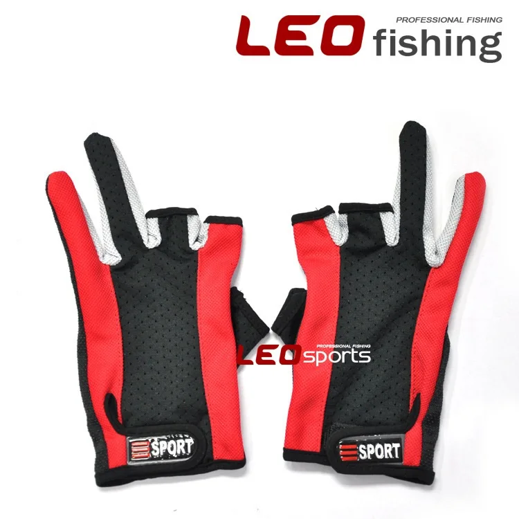 495399919_2050739421