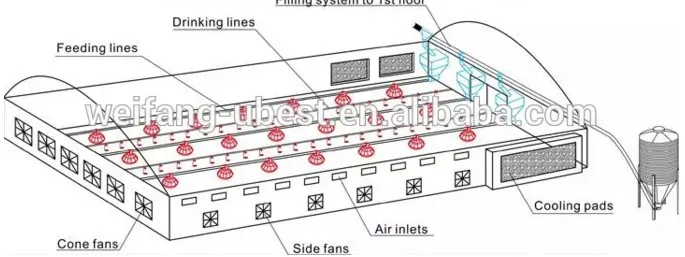 chicken coop for laying hens / dubai broiler farm chicken coop for sale