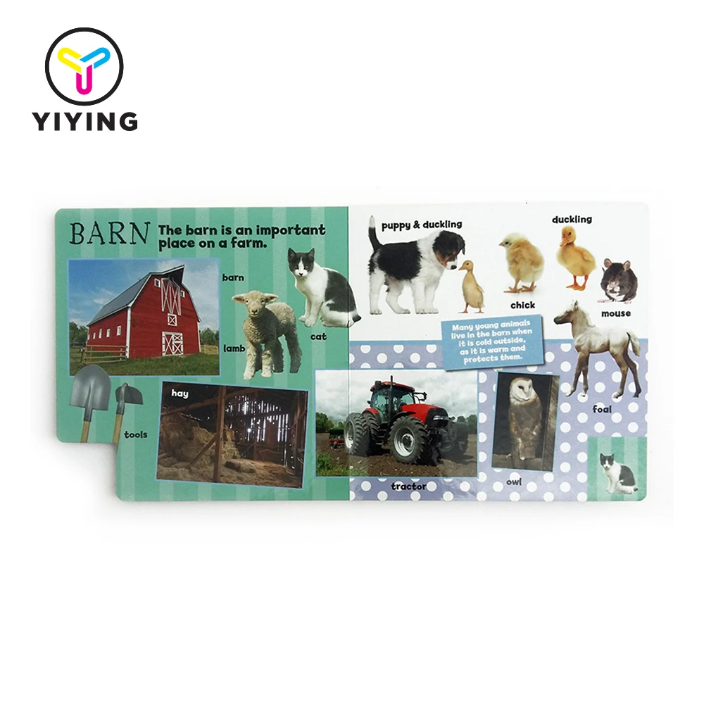 Beli Indonesian Set Lot Murah Grosir Indonesian Set Galeri Gambar Beli Indonesian Set Lot Murah Grosir Indonesian Set Galeri Gambar