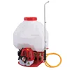 /product-detail/high-quantity-ql900-agriculture-gasoline-sprayer-25l-gasoline-knapsack-power-sprayer-garden-sprayer-60454797132.html
