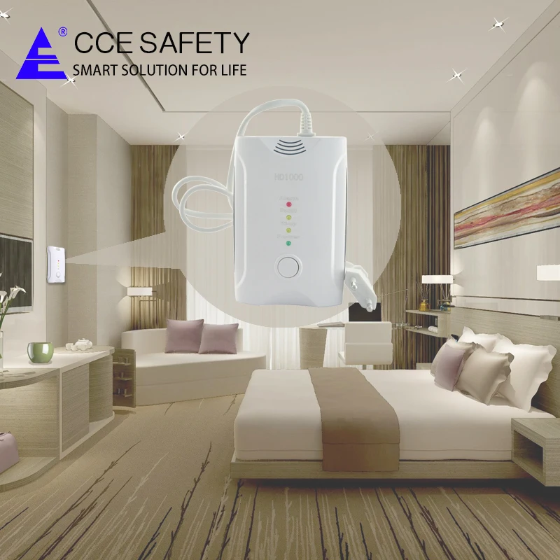 220v Ac Personal Carbon Monoxide Alarm Co Gas Detector From