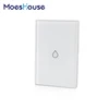 Alexa Google Home Wall Touch Smart Water Heater timer Boiler Switch wifi work with echo alexa