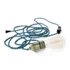 Customized CE VDE plug power lamp cord set with switch and E27 lamp sockets