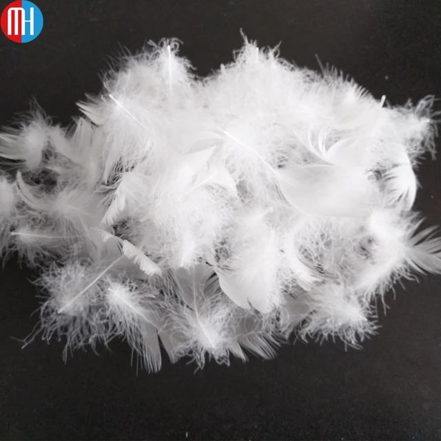 cheap washed large white goose feathers in down for sale 4-6cm