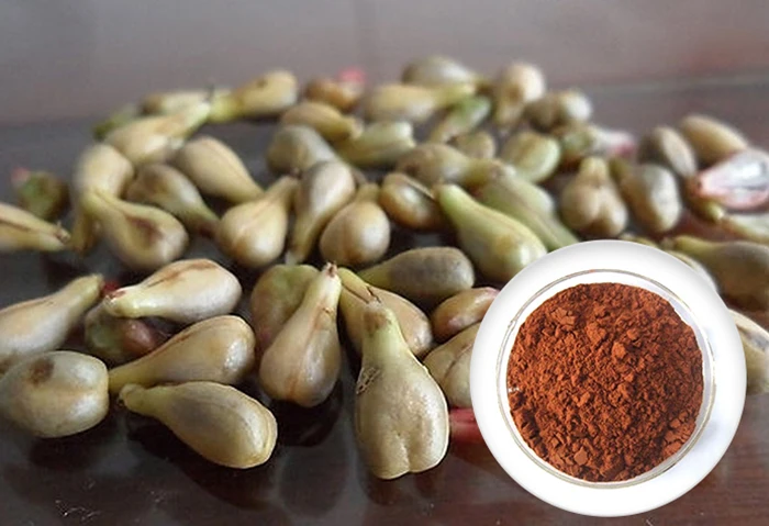 extract grape seed