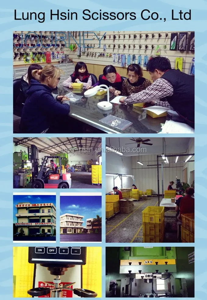 Lung Hsin-Factory Tour.jpg