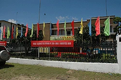 Good quality hazelnut oil press machine