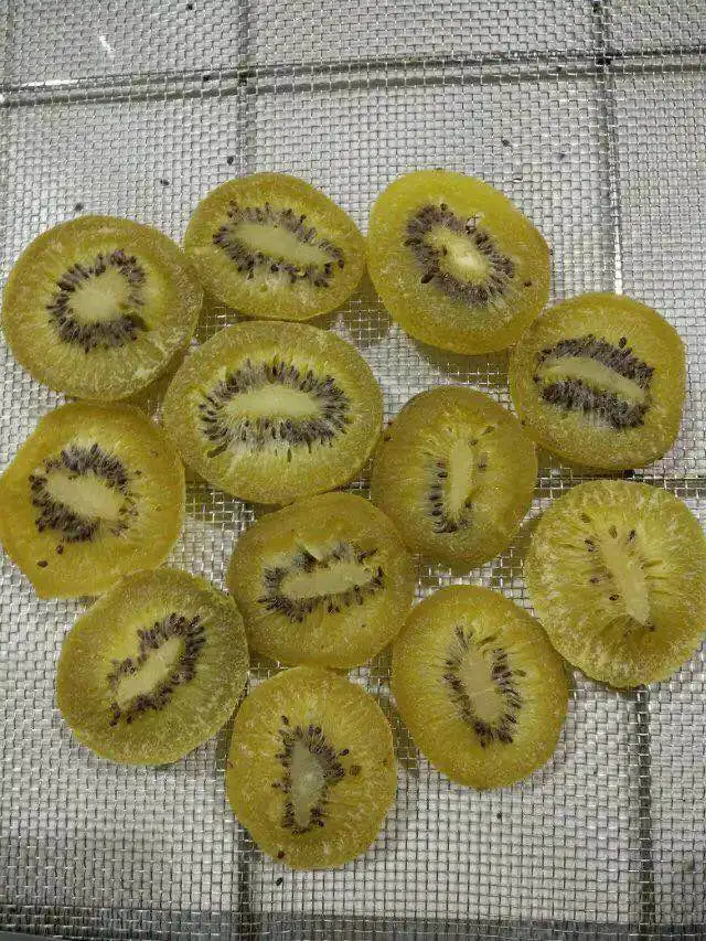 Cassava Fruit and Vegetable Drying Machine Meat Food Fish Dehydrator Heat Pump Dryer Machine manufacture