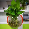 /product-detail/indoor-small-wall-hanging-fish-tank-bubble-plant-pot-acrylic-aquarium-wall-mounted-fish-tank-60850384031.html