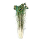 #1913 Manufacturer Natural 40-45 Inch Peacock Decoration Tail Feathers for Sale Cheap