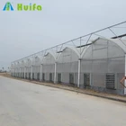 Galvanized Steel Multi-span Farm Poly Tunnel Agriculture Greenhouse For Sale