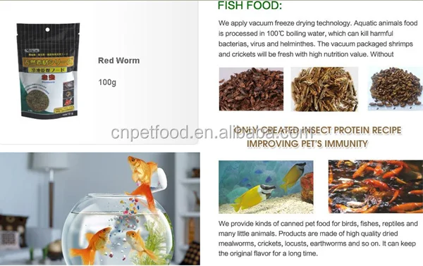 red worm
