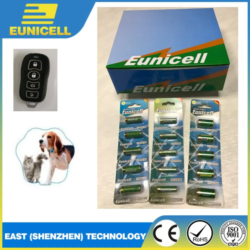 Eunicell 6V Alkaline battery.jpg